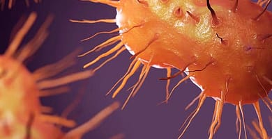 IMAGEN DE DEFINCION DE BACTERIA / BACTERIA DEFINITION IMAGE