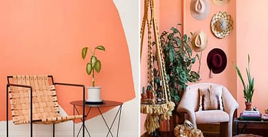 IMAGENES DE COLOR MELOCOTON / PEACH COLOR IMAGE