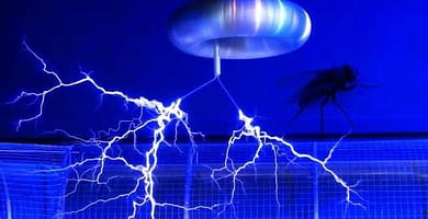 IMAGEN DE MATAMOSCAS / FLY SWATTER IMAGE