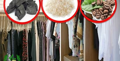 IMAGEN DE COMO SE QUITA EL MOHO DE LA ROPA / how to remove mold from clothes image