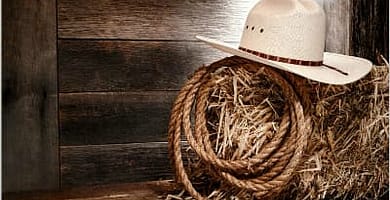 IMAGEN DE ACCESORIOS VAQUEROS / COWBOYS ACCESSORIES IMAGE