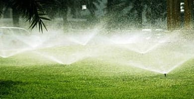 IMAGEN DE CUIDADO DEL CESPED / LAWN CARE IMAGE