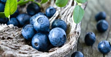 IMAGEN DE ARANDANOS / BLUEBERRIES IMAGE