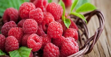 IMAGEN DE FRAMBUESA / RASPBERRY IMAGE