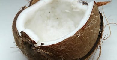 IMAGEN DEL COCO / COCONUT IMAGE