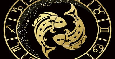 IMAGEN DEL SIGNO ACUARIO / AQUARIUS IMAGE