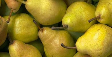 IMAGEN DE PERA / PEAR IMAGE