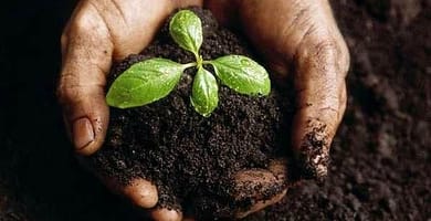 IMAGEN DE BIOSFERA / BIOSPHERE IMAGE