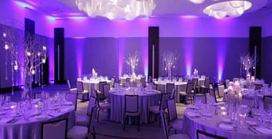 IMAGEN DEL COLOR LAVANDA / LAVENDER COLOR IMAGE