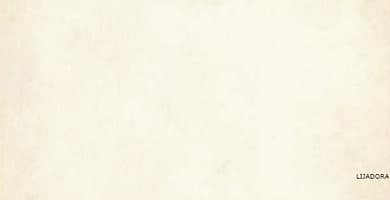 IMAGEN DE COLOR CREMA / CREAM COLOR IMAGE