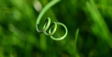 IMAGEN DE VERDE / GREEN IMAGE