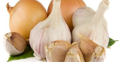 IMAGEN DEL AJO / GARLIC IMAGE