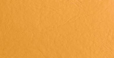 IMAGEN DEL COLOR CAMEL / CAMEL COLOUR IMAGE