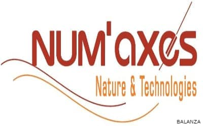IMAGEN DE MARCA NUMAXES / NUMAXES BRAND IMAGE