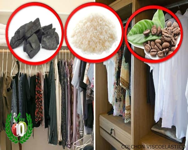 IMAGEN DE COMO SE QUITA EL MOHO DE LA ROPA / how to remove mold from clothes image