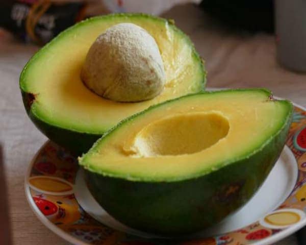 IMAGEN DE AGUACATE / AVOCADO IMAGE
