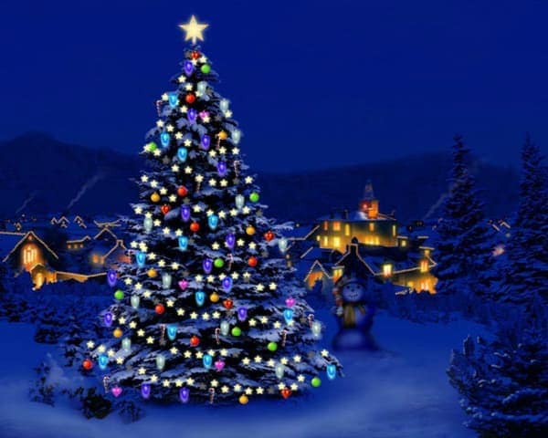 IMAGEN DE ARBOL DE NAVIDAD / CHRISTMAS TREE IMAGE