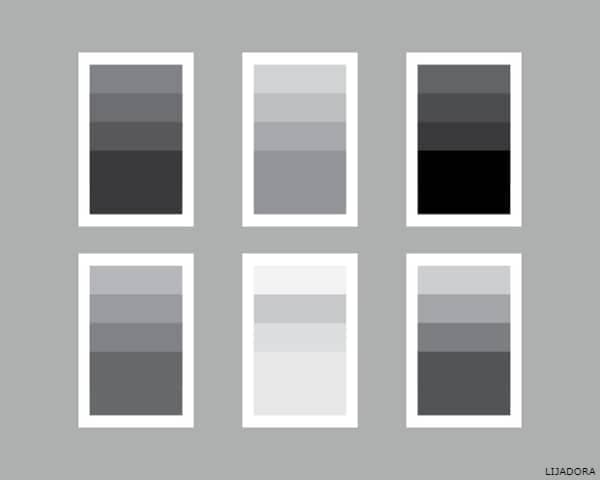 IMAGEN DE COLOR GRIS / GREY COLOR IMAGE