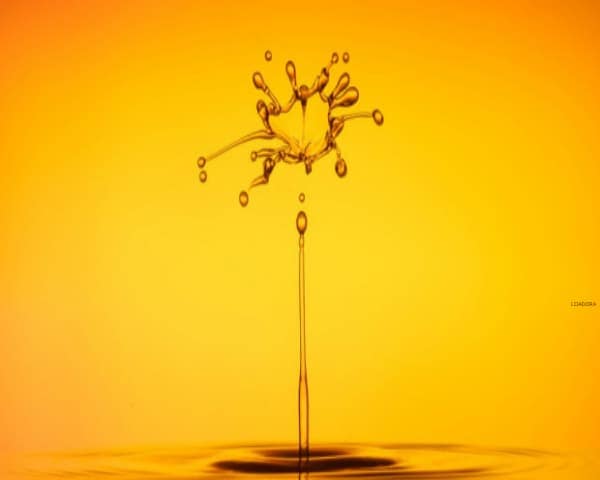 IMAGEN COLOR AMARILLO / YELLOW COLOR IMAGE