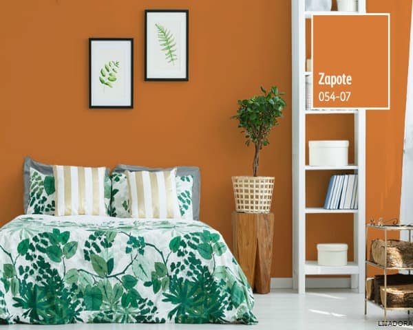IMAGEN DEL COLOR ZAPOTE
