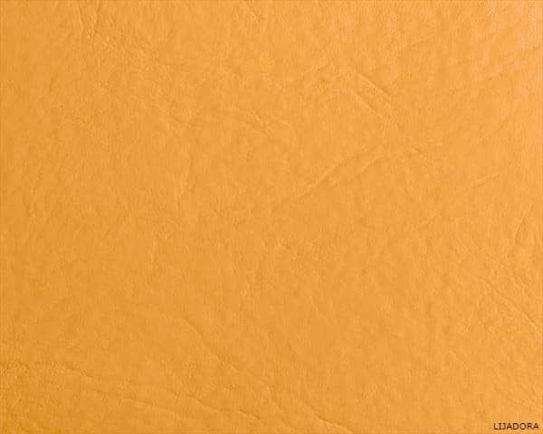 IMAGEN DEL COLOR CAMEL / CAMEL COLOUR IMAGE