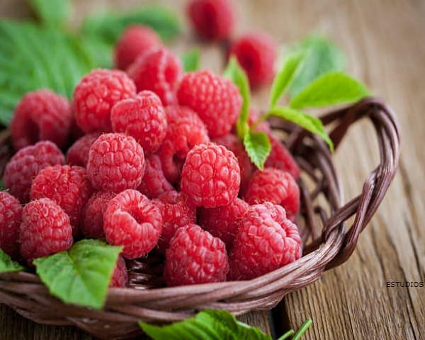 IMAGEN DE FRAMBUESA / RASPBERRY IMAGE