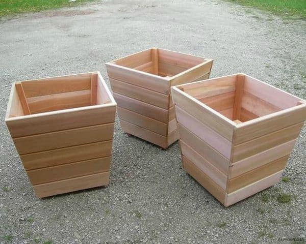 IMAGEN DE MACETA DE MADERA / WOODEN PLANTER IMAGE