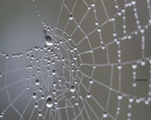 IMAGEN DE COLOR PLATA / SILVER COLOR IMAGE