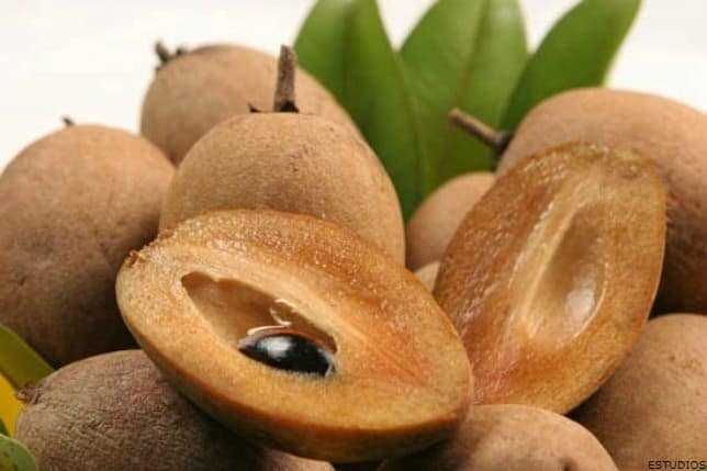 IMAGEN DEL NISPERO / LOQUAT IMAGE